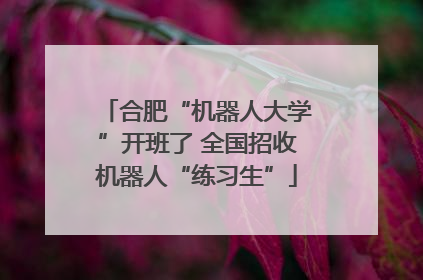合肥“机器人大学”开班了 全国招收机器人“练习生”