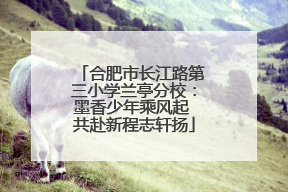 合肥市长江路第三小学兰亭分校：墨香少年乘风起 共赴新程志轩扬
