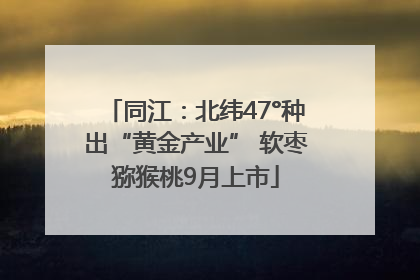 同江：北纬47°种出“黄金产业” 软枣猕猴桃9月上市