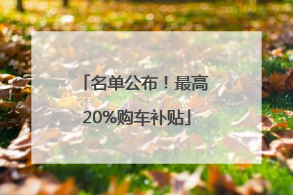名单公布！最高20%购车补贴