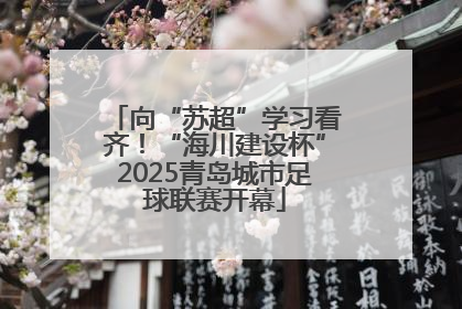 向“苏超”学习看齐！“海川建设杯”2025青岛城市足球联赛开幕