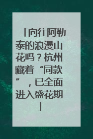 向往阿勒泰的浪漫山花吗？杭州藏着“同款”，已全面进入盛花期