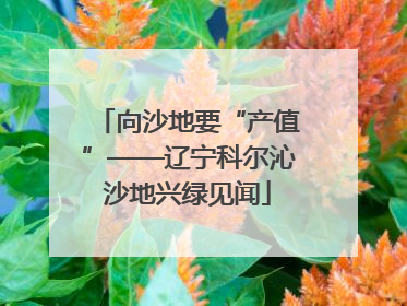 向沙地要“产值”——辽宁科尔沁沙地兴绿见闻