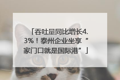 吞吐量同比增长4.3%！泰州企业坐享“家门口就是国际港”