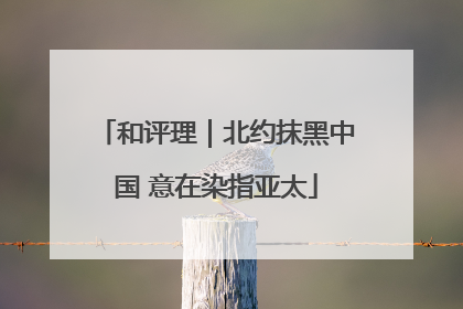 和评理｜北约抹黑中国 意在染指亚太