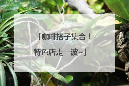 咖啡搭子集合！特色店走一波~