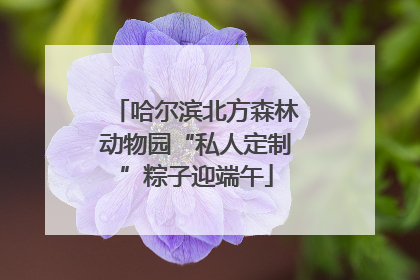 哈尔滨北方森林动物园“私人定制”粽子迎端午