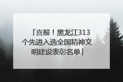 喜报!黑龙江313个先进入选全国精神文明建设表彰名单