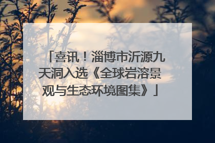 喜讯！淄博市沂源九天洞入选《全球岩溶景观与生态环境图集》