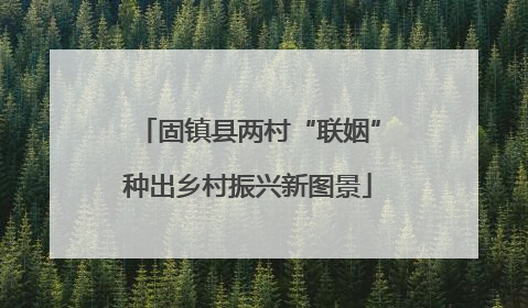固镇县两村“联姻”种出乡村振兴新图景