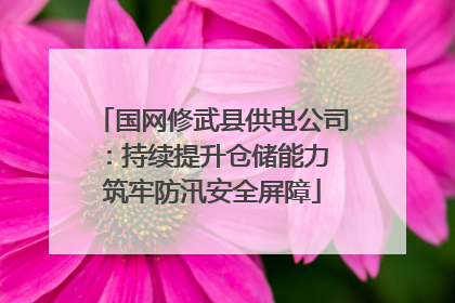 国网修武县供电公司：持续提升仓储能力 筑牢防汛安全屏障