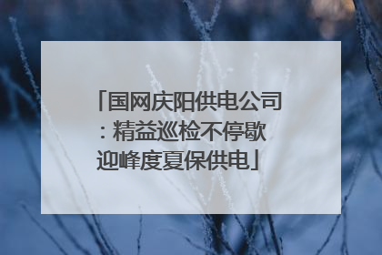 国网庆阳供电公司：精益巡检不停歇 迎峰度夏保供电