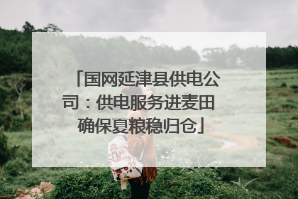 国网延津县供电公司：供电服务进麦田 确保夏粮稳归仓