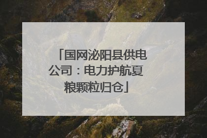 国网泌阳县供电公司：电力护航夏粮颗粒归仓