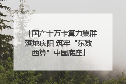 国产十万卡算力集群落地庆阳 筑牢“东数西算”中国底座