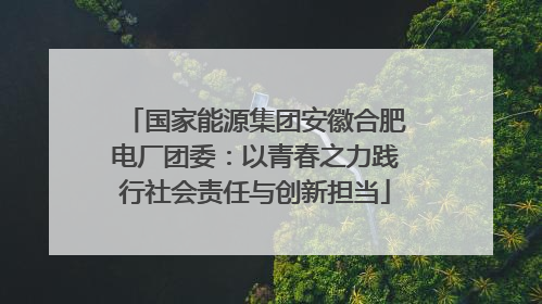 国家能源集团安徽合肥电厂团委：以青春之力践行社会责任与创新担当