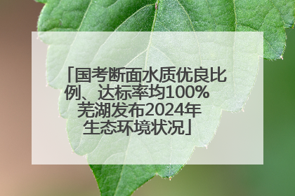 国考断面水质优良比例、达标率均100% 芜湖发布2024年生态环境状况