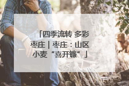 四季流转 多彩枣庄｜枣庄：山区小麦“喜开镰”