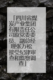 四川省煤炭产业集团有限责任公司原党委委员、副总经理张万松 接受纪律审查和监察调查