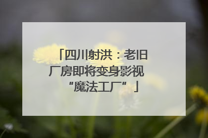 四川射洪：老旧厂房即将变身影视“魔法工厂”