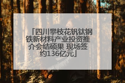 四川攀枝花钒钛钢铁新材料产业投资推介会结硕果 现场签约136亿元