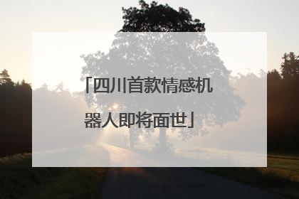 四川首款情感机器人即将面世
