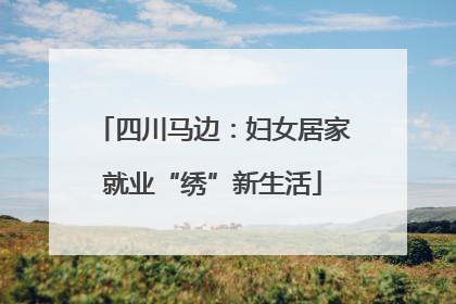 四川马边：妇女居家就业“绣”新生活