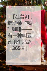 在普洱，粽子会“喝”咖啡——有一种叫云南的生活之365天