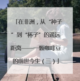 在非洲，从“种子”到“杯子”的遥远距离——一颗咖啡豆的前世今生（三）