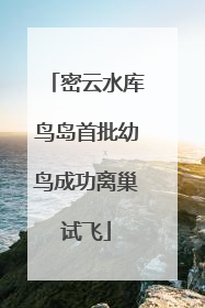 密云水库鸟岛首批幼鸟成功离巢试飞