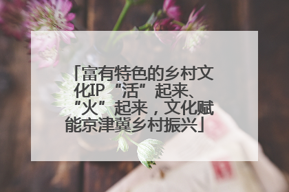 富有特色的乡村文化IP“活”起来、“火”起来，文化赋能京津冀乡村振兴
