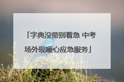 字典没带别着急 中考场外现暖心应急服务