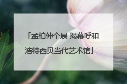 孟柏伸个展 揭幕呼和浩特西贝当代艺术馆