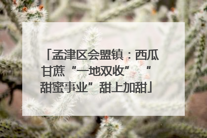孟津区会盟镇：西瓜甘蔗“一地双收” “甜蜜事业”甜上加甜