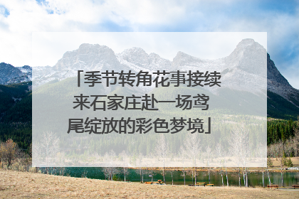 季节转角花事接续 来石家庄赴一场鸢尾绽放的彩色梦境