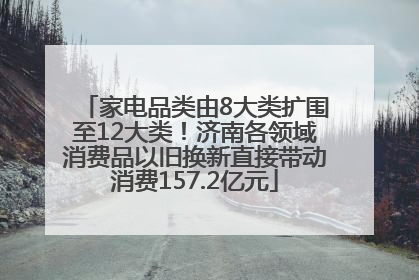 家电品类由8大类扩围至12大类！济南各领域消费品以旧换新直接带动消费157.2亿元