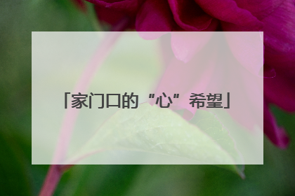 家门口的“心”希望
