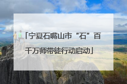 宁夏石嘴山市“石”百千万师带徒行动启动