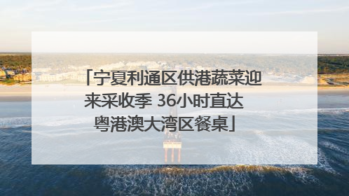 宁夏利通区供港蔬菜迎来采收季 36小时直达粤港澳大湾区餐桌