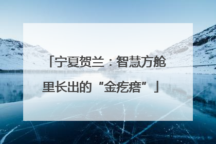 宁夏贺兰：智慧方舱里长出的“金疙瘩”