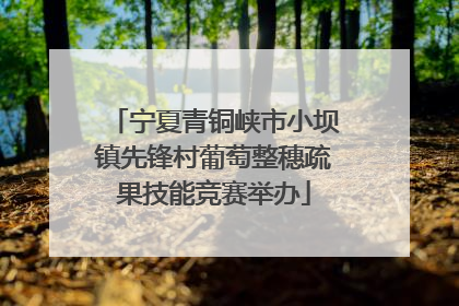 宁夏青铜峡市小坝镇先锋村葡萄整穗疏果技能竞赛举办