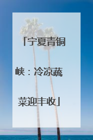 宁夏青铜峡：冷凉蔬菜迎丰收