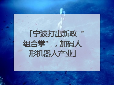 宁波打出新政“组合拳”，加码人形机器人产业