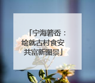 宁海箬岙：绘就古村食安共富新图景