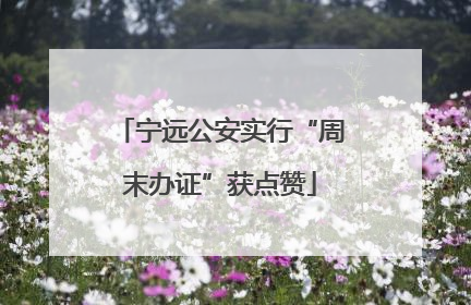 宁远公安实行“周末办证”获点赞