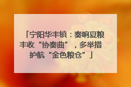 宁阳华丰镇：奏响夏粮丰收“协奏曲”，多举措护航“金色粮仓”