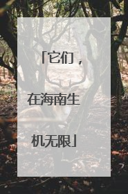 它们，在海南生机无限