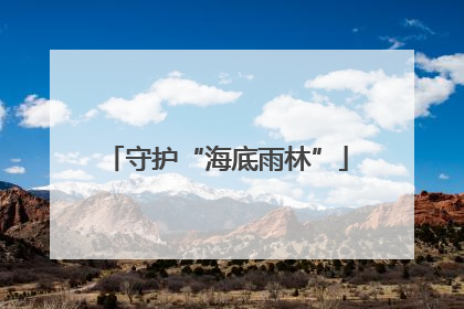 守护“海底雨林”