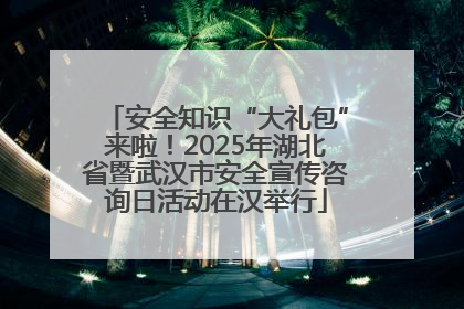 安全知识“大礼包”来啦！2025年湖北省暨武汉市安全宣传咨询日活动在汉举行