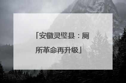 安徽灵璧县：厕所革命再升级